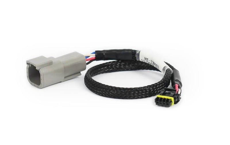 Haltech CAN Adapterkabel DTM-4 auf Molex Mizu-P25 für Holley Steuergeräte